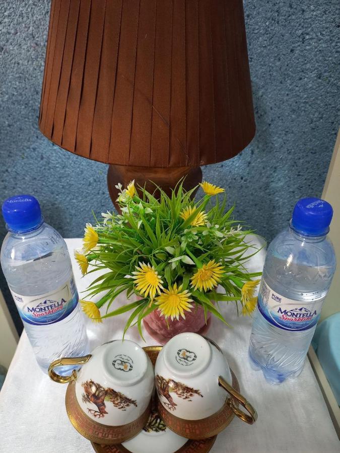 Lion Guest House Buxoro Ngoại thất bức ảnh