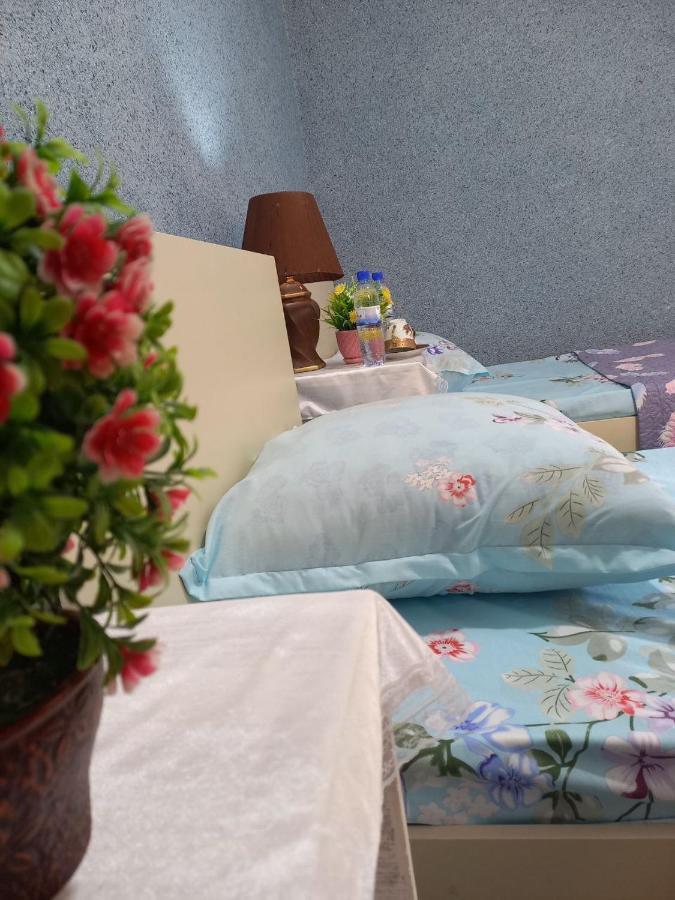 Lion Guest House Buxoro Ngoại thất bức ảnh