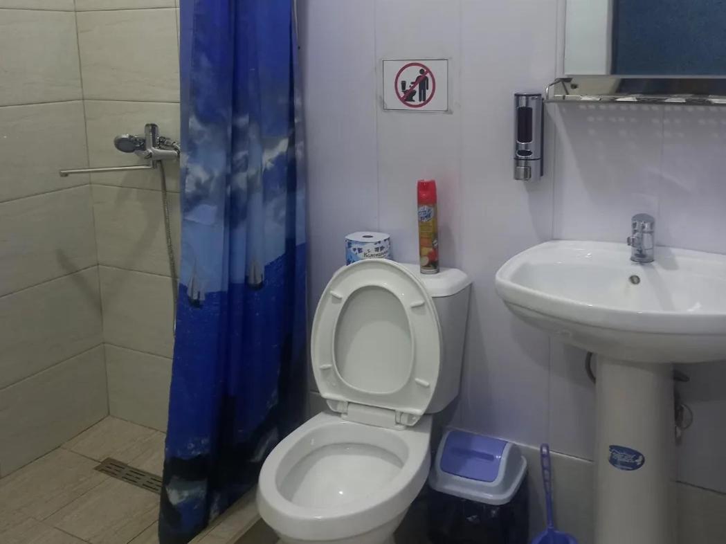 Lion Guest House Buxoro Ngoại thất bức ảnh